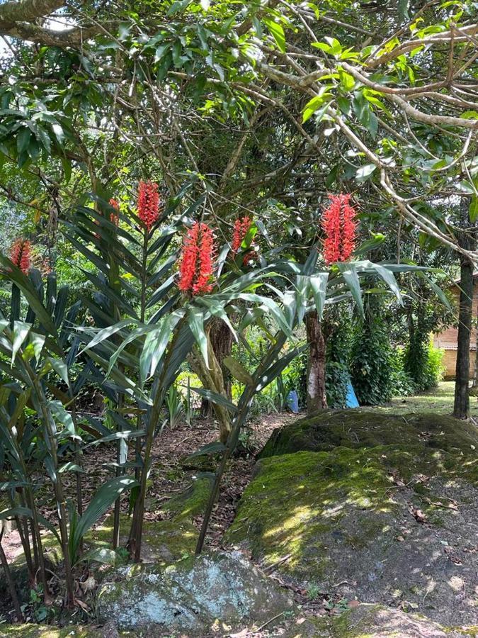 Sitio Serenar Chales Equipados Penedo  Eksteriør billede