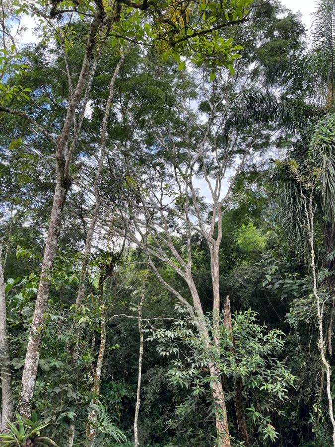 Sitio Serenar Chales Equipados Penedo  Eksteriør billede