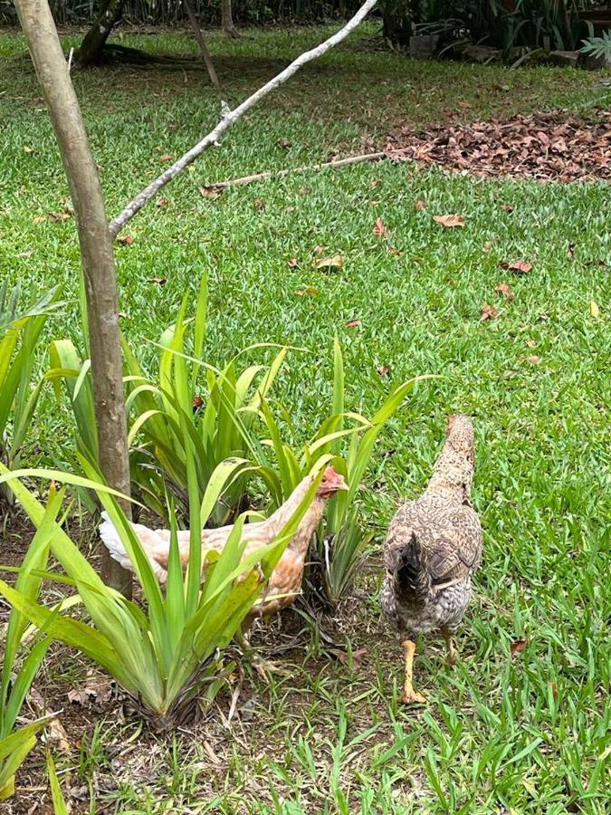 Sitio Serenar Chales Equipados Penedo  Eksteriør billede